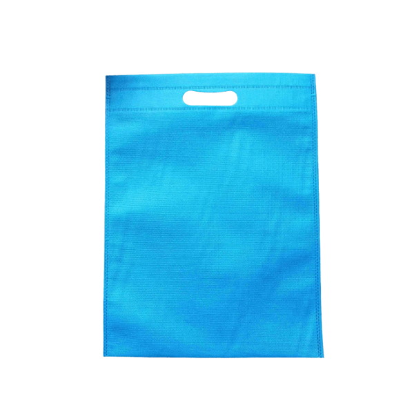 Non-woven Flat Bag -Sky Blue